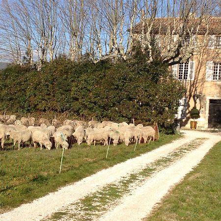 B&B Domaine Le Clos Du Pavillon Brignoles Zewnętrze zdjęcie
