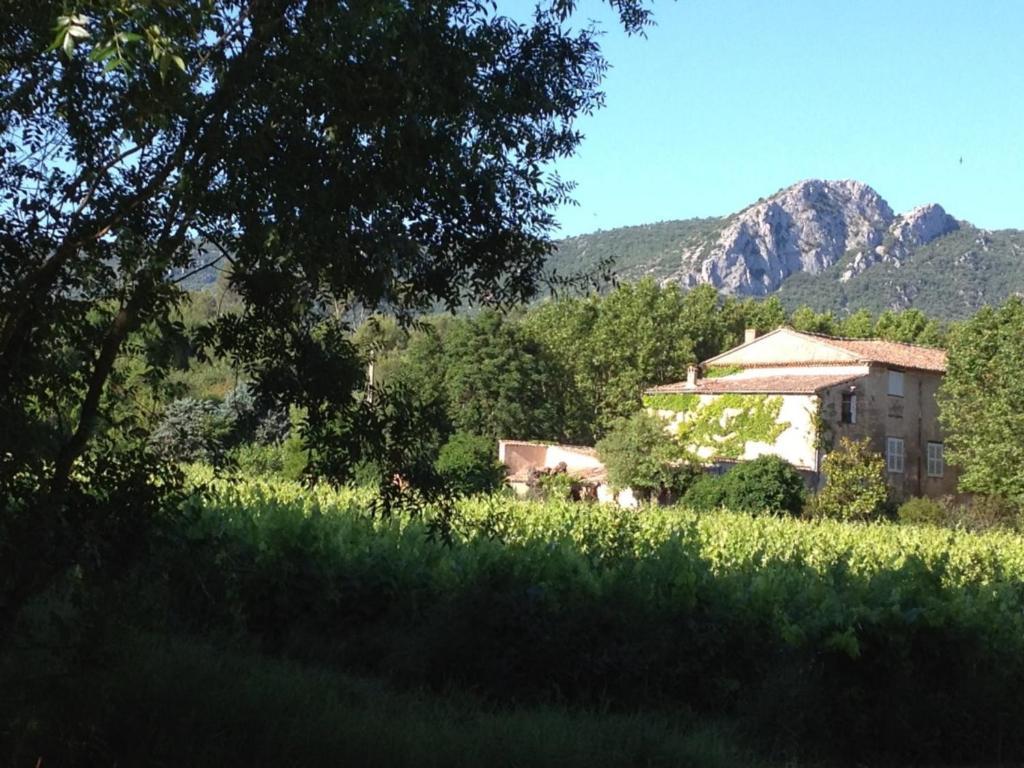 B&B Domaine Le Clos Du Pavillon Brignoles Zewnętrze zdjęcie