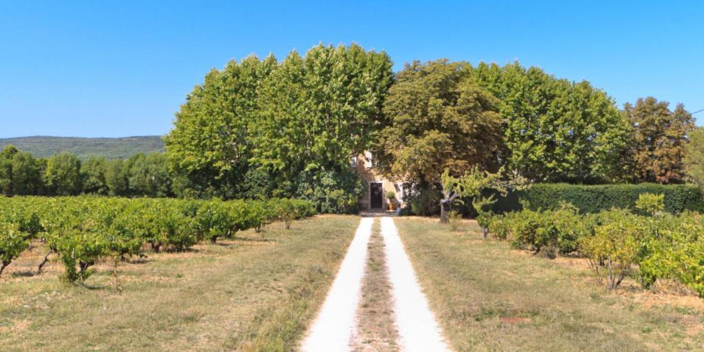B&B Domaine Le Clos Du Pavillon Brignoles Zewnętrze zdjęcie